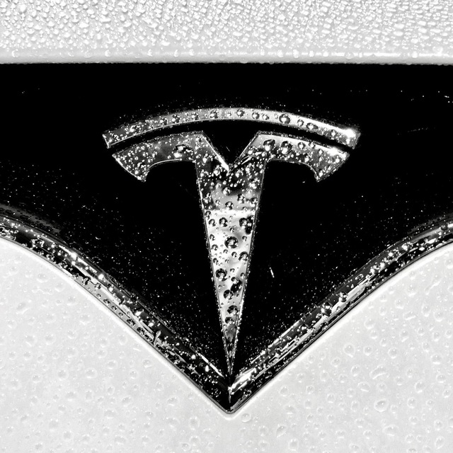 TeslaMotorsUK